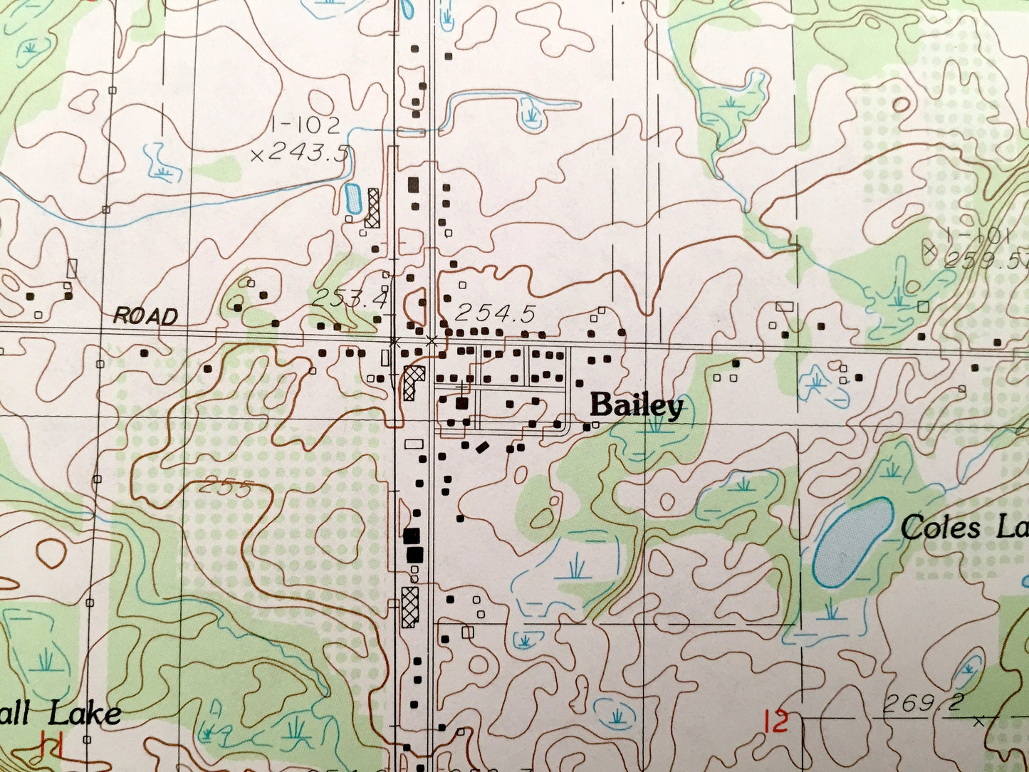 Antique Grant, Michigan 1985 US Geological Survey Topographic Map – Ashland, Casnovia, Tyrone, Bailey, Half Moon Lake Blanch Moore County MI
