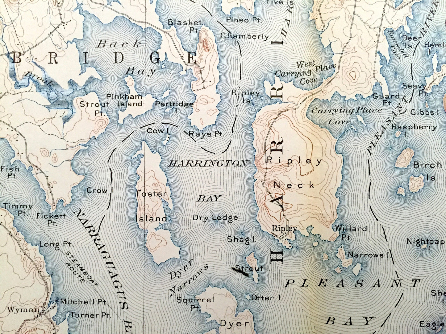 Antique Cherryfield, Maine 1902 US Geological Survey Topographic Map – Steuben, Millbridge, Harrington, Columbia, Addison, Pleasant Bay, ME
