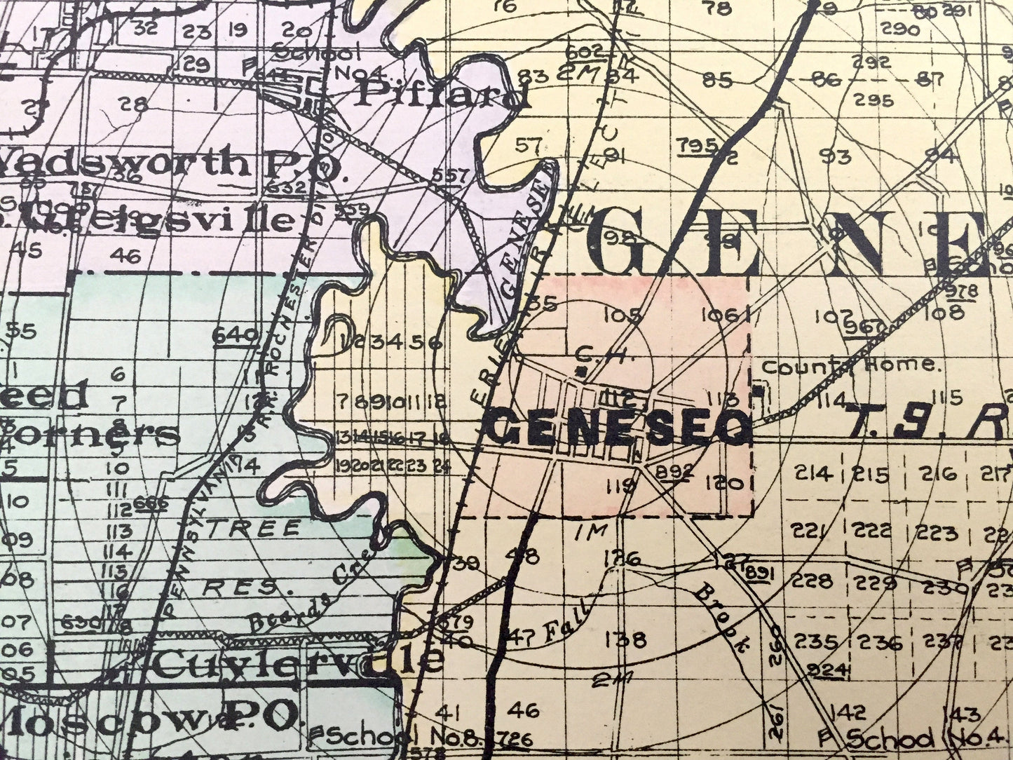 Antique Livingston County, New York 1911 New Century Atlas Map – Geneseo, Caledonia, Avon, Mount Morris, Nunda, Dansville Conesus Hemlock NY