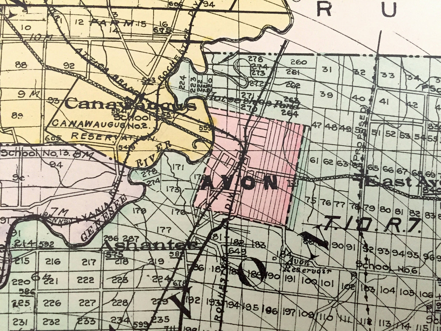 Antique Livingston County, New York 1911 New Century Atlas Map – Geneseo, Caledonia, Avon, Mount Morris, Nunda, Dansville Conesus Hemlock NY
