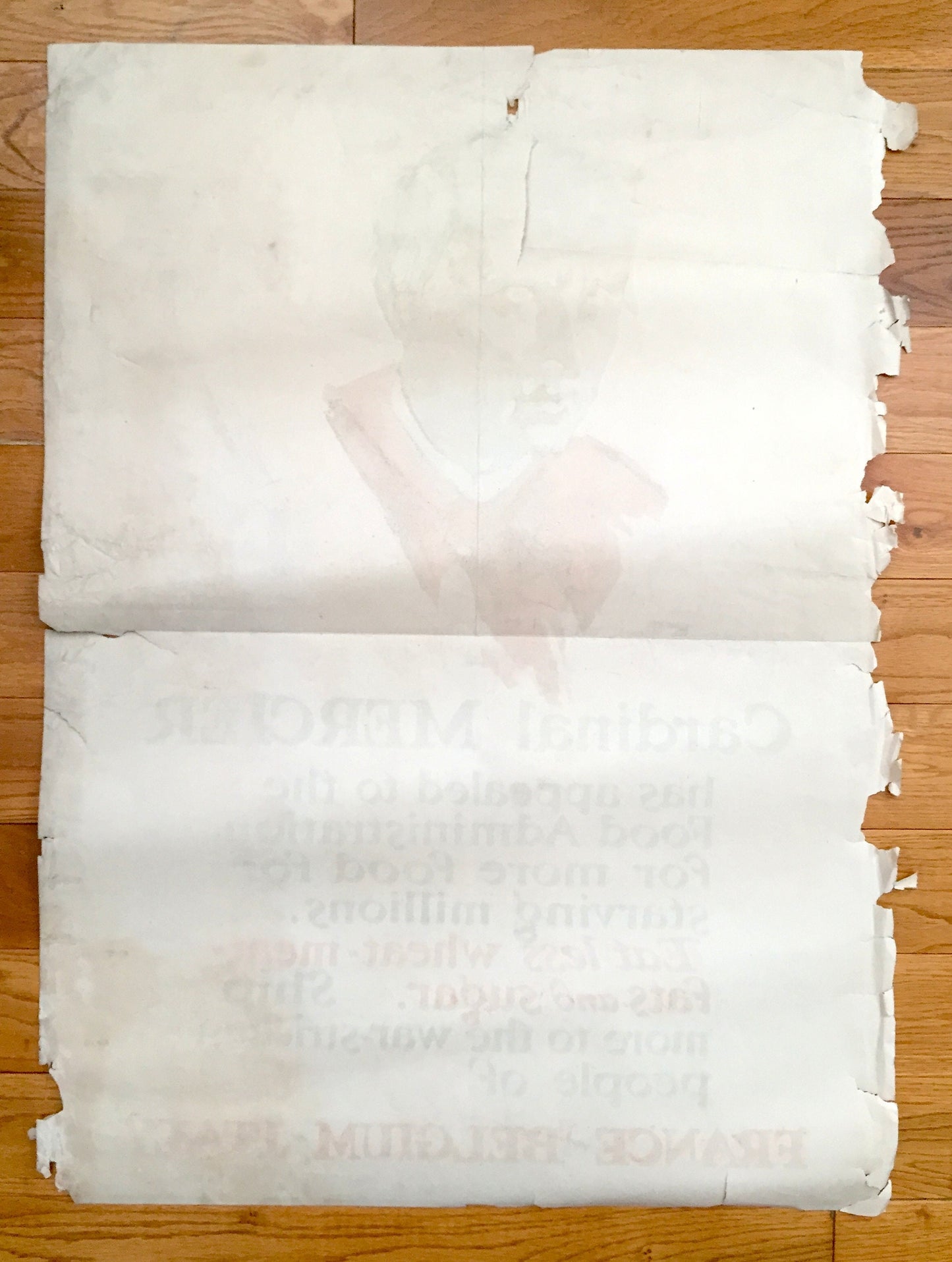 Original 1917 Cardinal Mercier WWI Poster by George Illion – United States Food Administration, World War One, WW1, France, Belgium, Italy