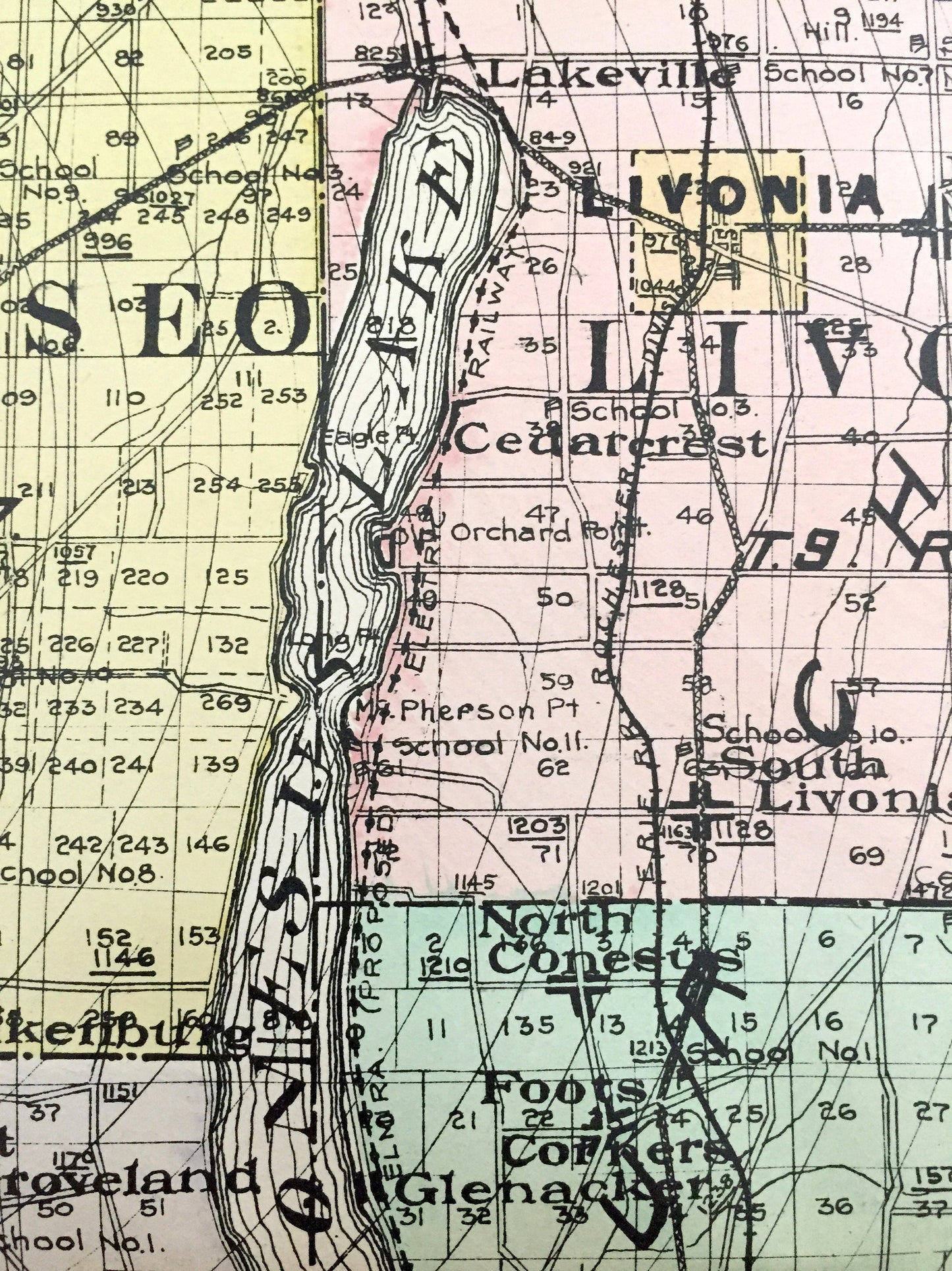 Antique Livingston County, New York 1911 New Century Atlas Map – Geneseo, Caledonia, Avon, Mount Morris, Nunda, Dansville Conesus Hemlock NY
