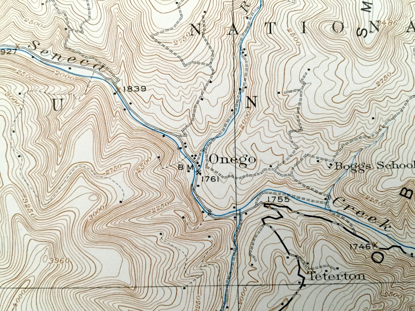 Antique Onego, West Virginia 1922 US Geological Survey Topographic Map – Pendleton County, Milroy, Harperton, Upper Tract, Branch, Laneville