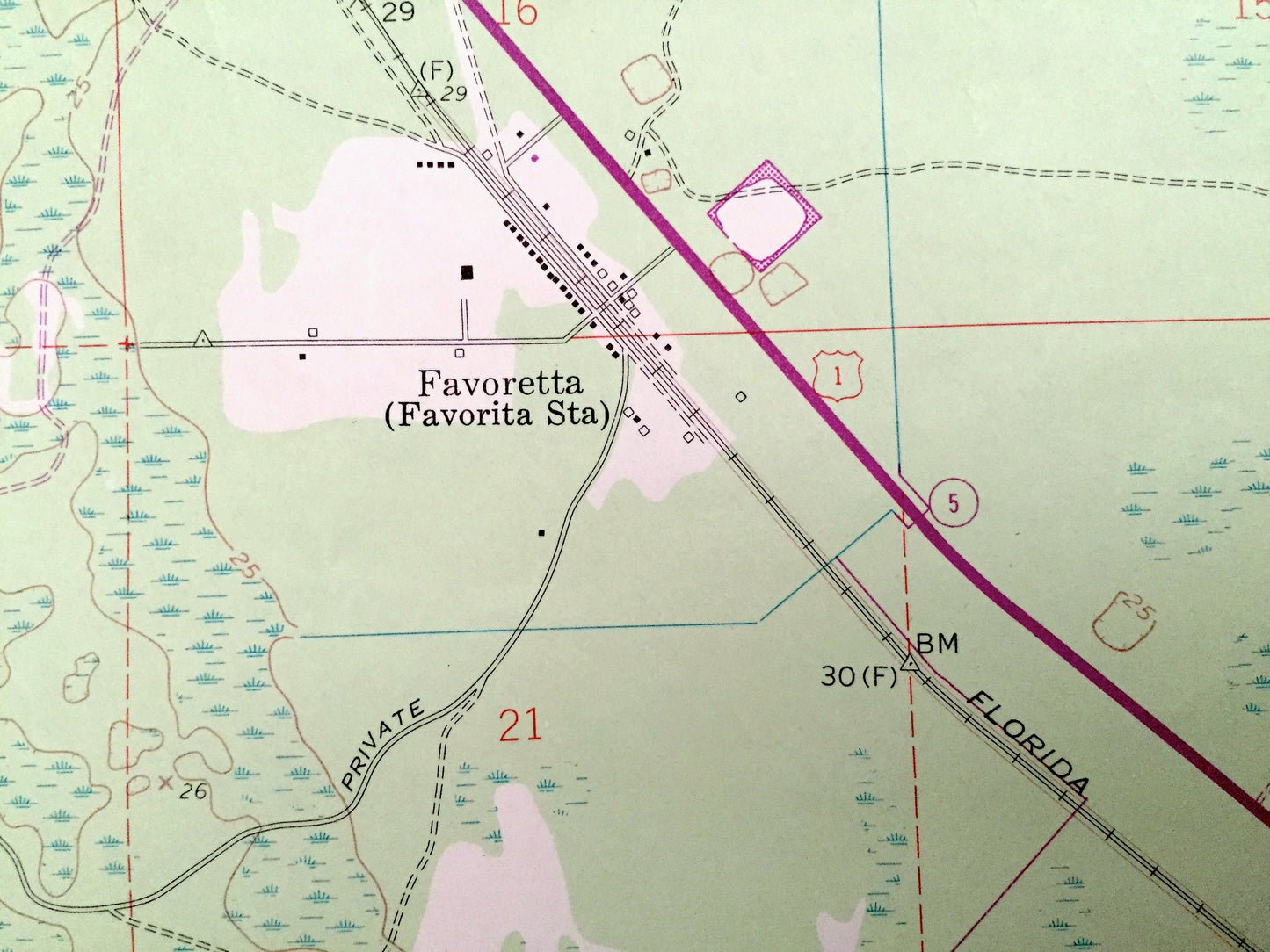 Antique Favoretta, Florida 1956 US Geological Survey Topographic Map – Flagler, Volusia County, National Gardens, Hull Cypress Swamp
