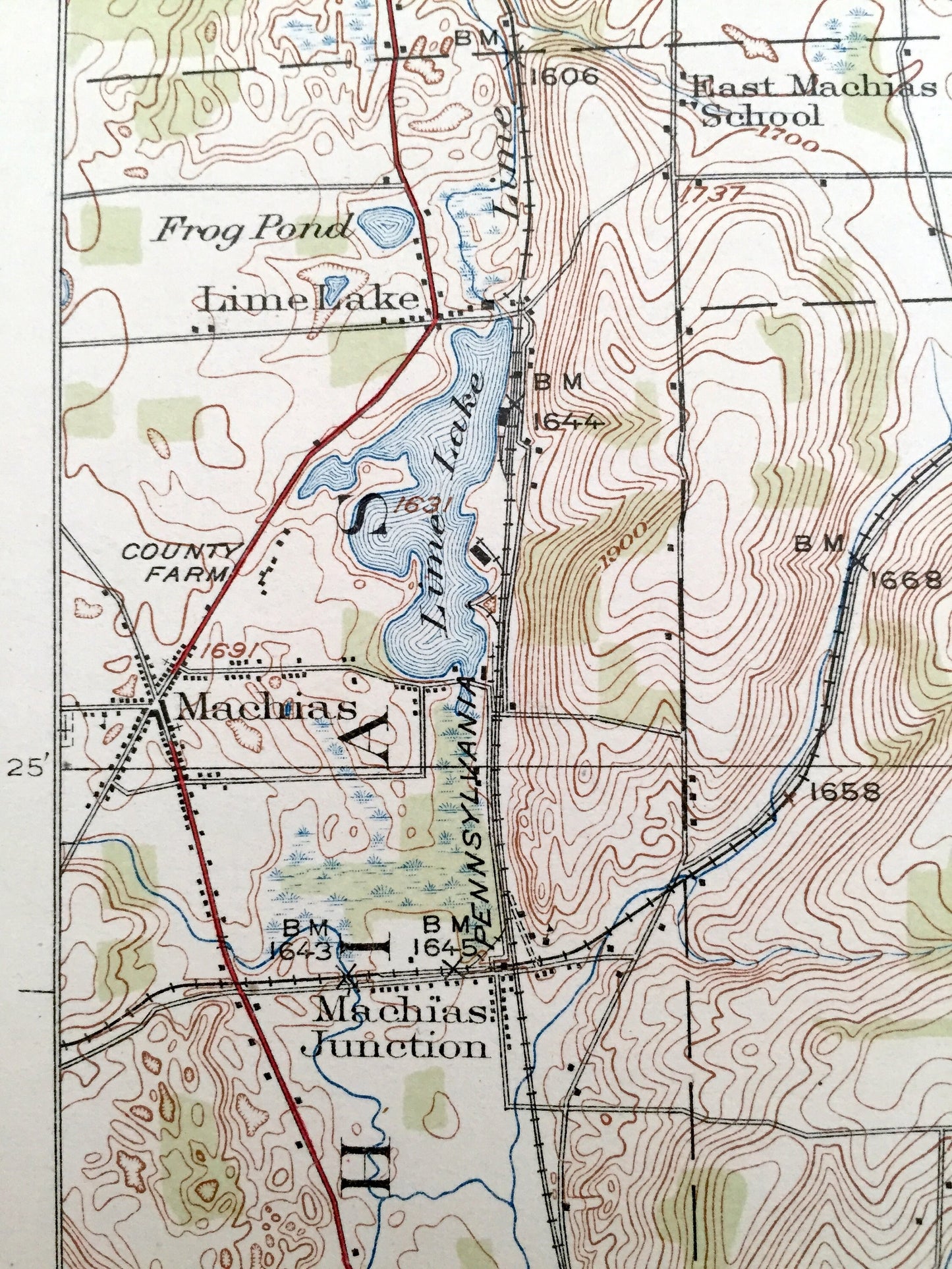 Antique Franklinville, New York 1924 US Geological Survey Topographic Map - Cattaraugus County, Yorkshire, Freedom, Farmersville, Lyndon, NY