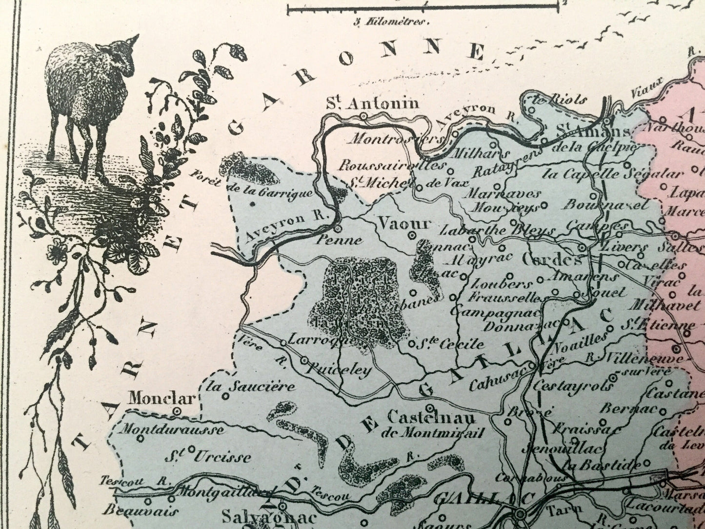 Antique 1858 Tarn Department, France Map from France and its Colonies by Alexandre Vuillemin – Albi, Alby, Castres, Gaillac, Graulhet