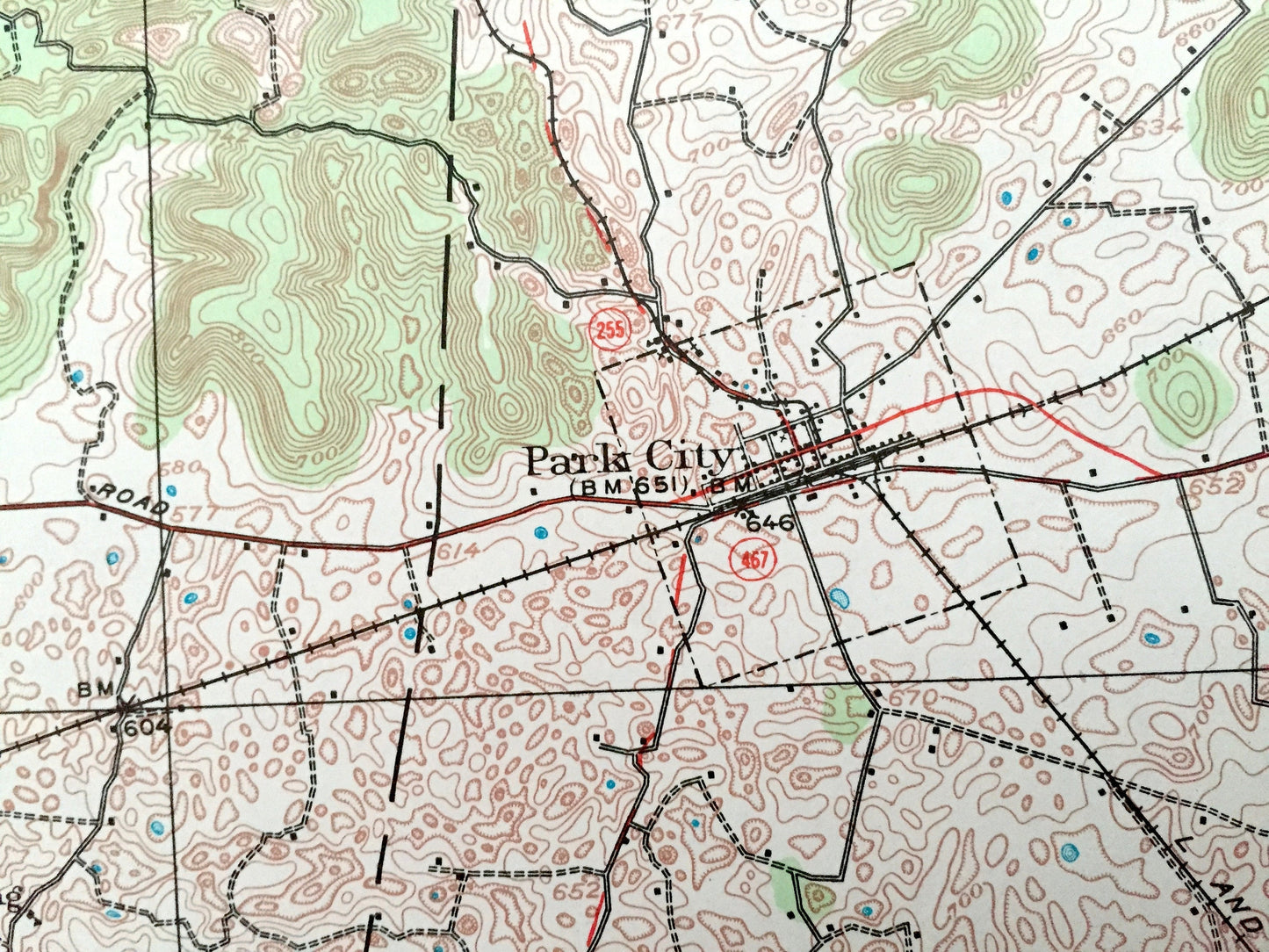 Antique Mammoth Cave, Kentucky 1922 US Geological Survey Topographic Map – National Park, Pig, Cedar Spring, Smiths Grove, Park City, KY