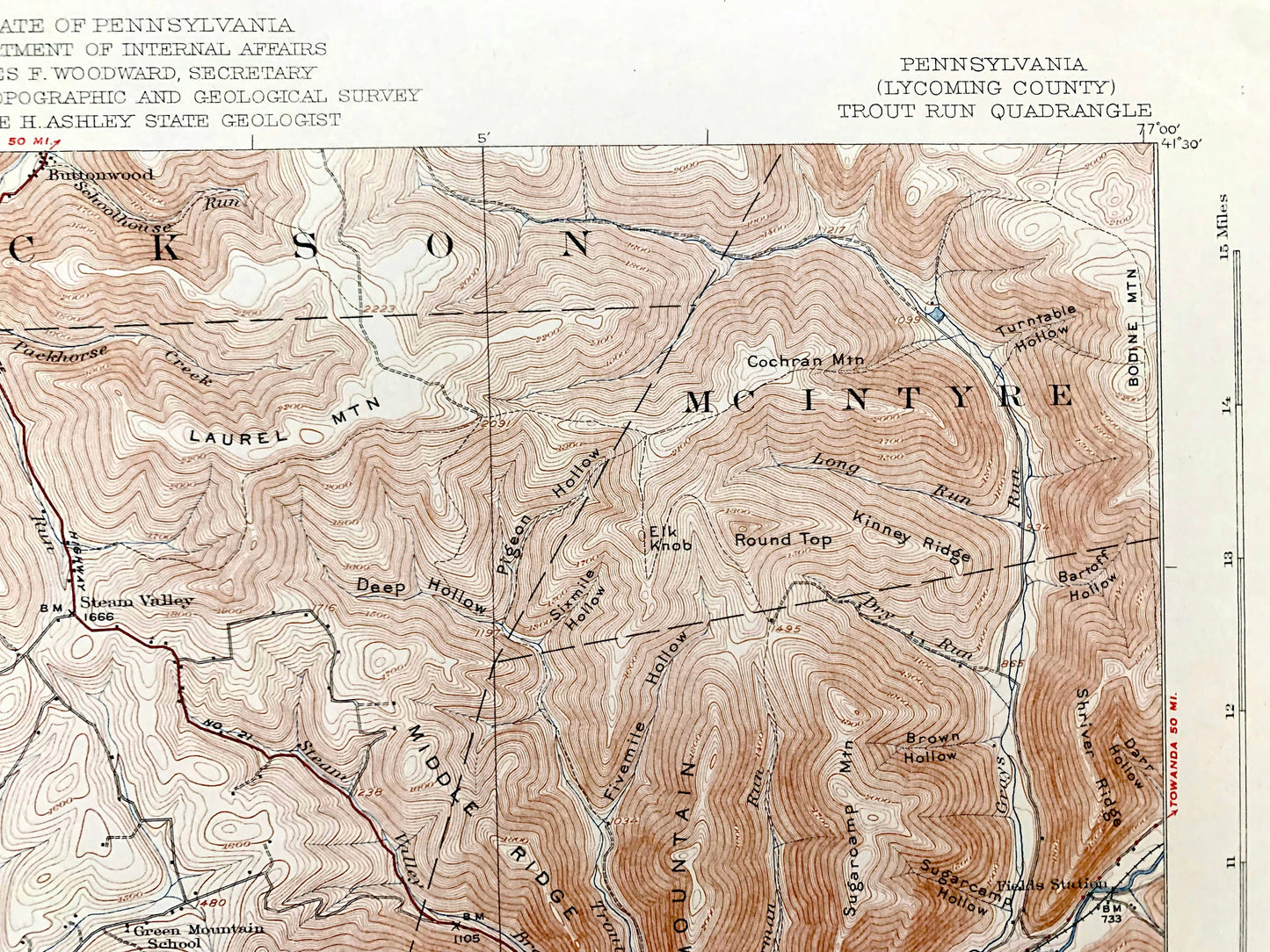 Antique Trout Run, Pennsylvania 1923 US Geological Survey Topographic Map – Lycoming County, Williamsport, Lewis, Mifflin, Loyalsock, PA