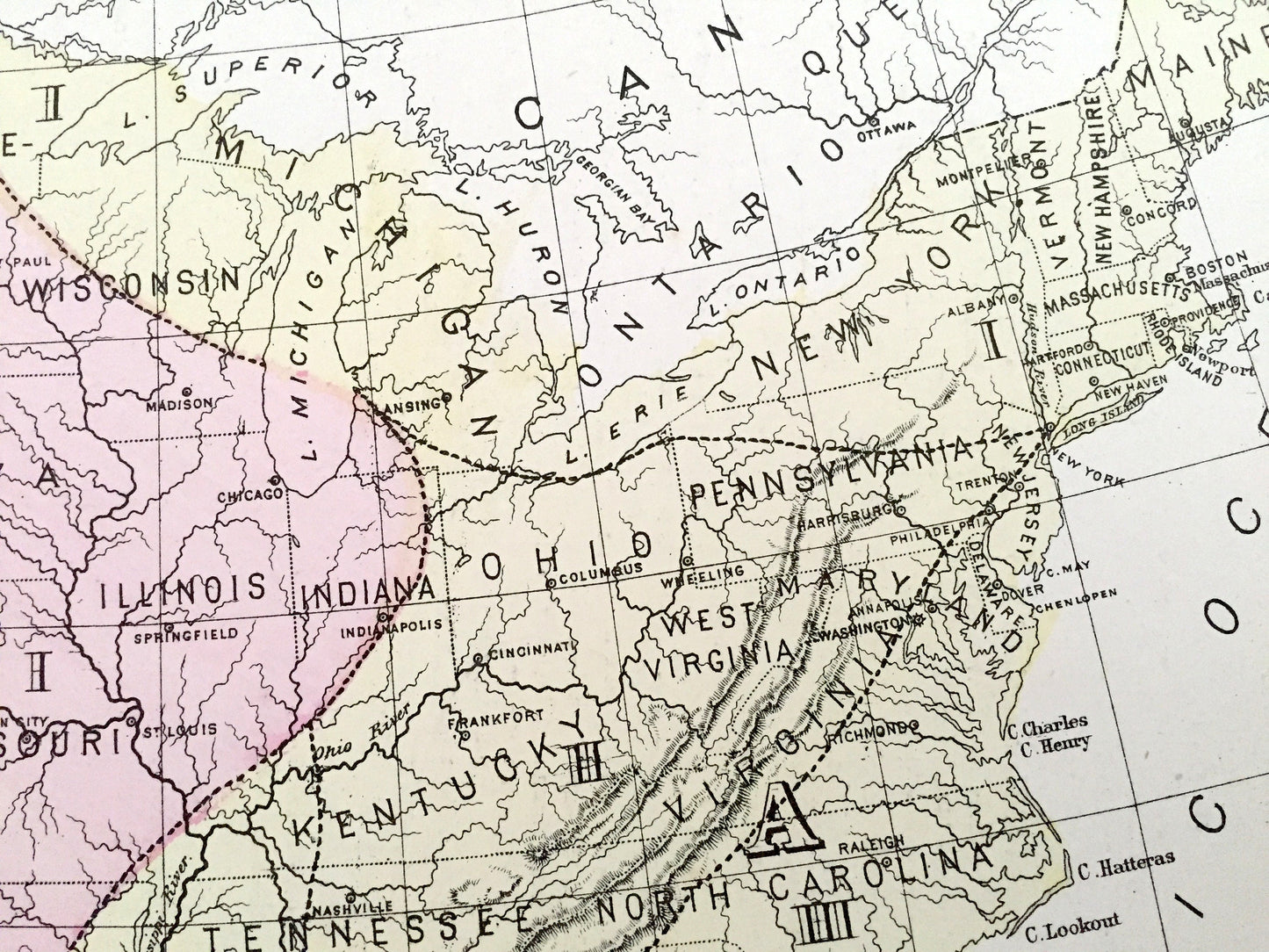 Antique 1874 Botanical Divisions Map of the USA from O.W. Gray's Atlas of United States of America; Stedman, Brown & Lyon – Thomas C Porter