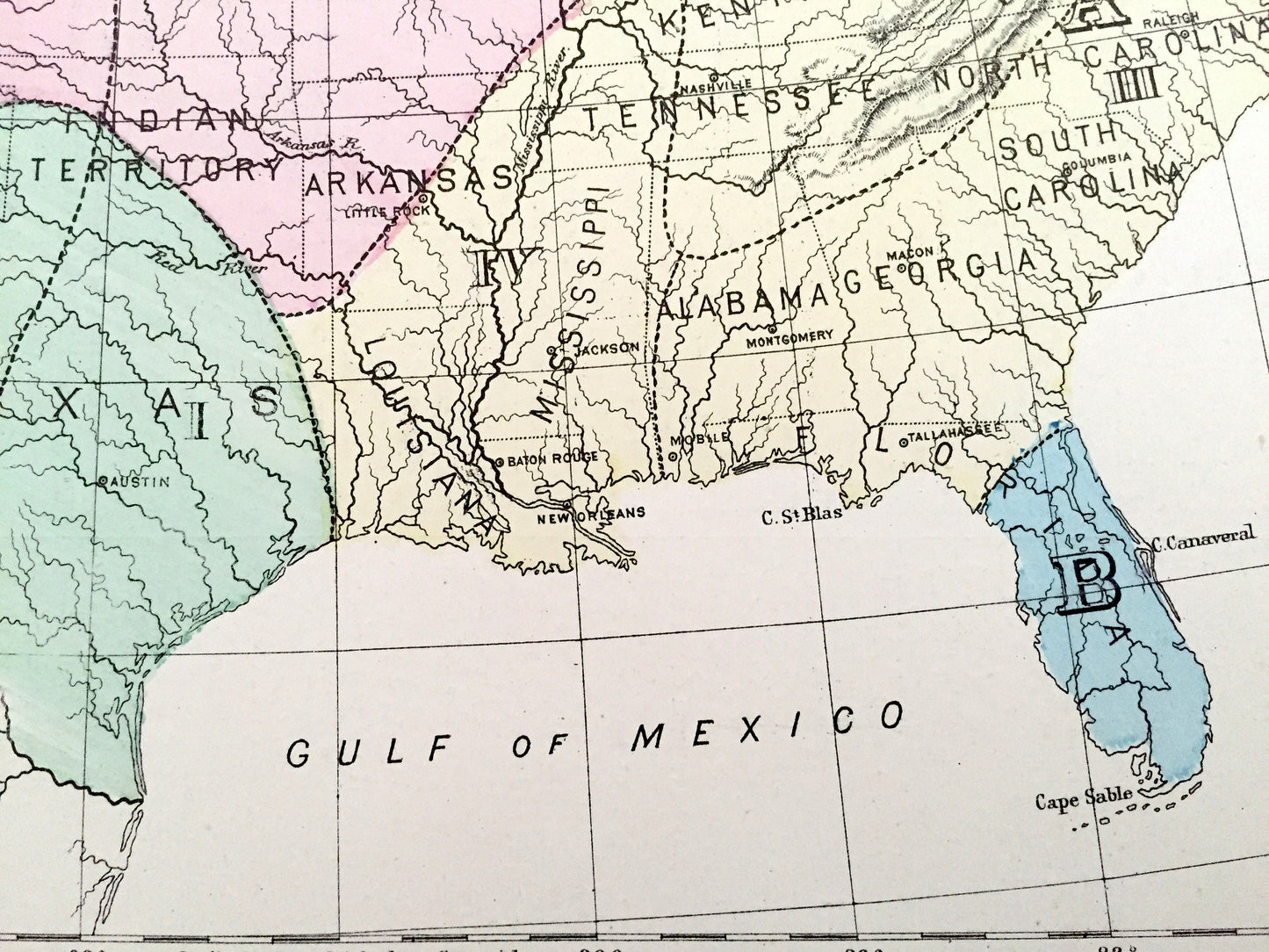 Antique 1874 Botanical Divisions Map of the USA from O.W. Gray's Atlas of United States of America; Stedman, Brown & Lyon – Thomas C Porter