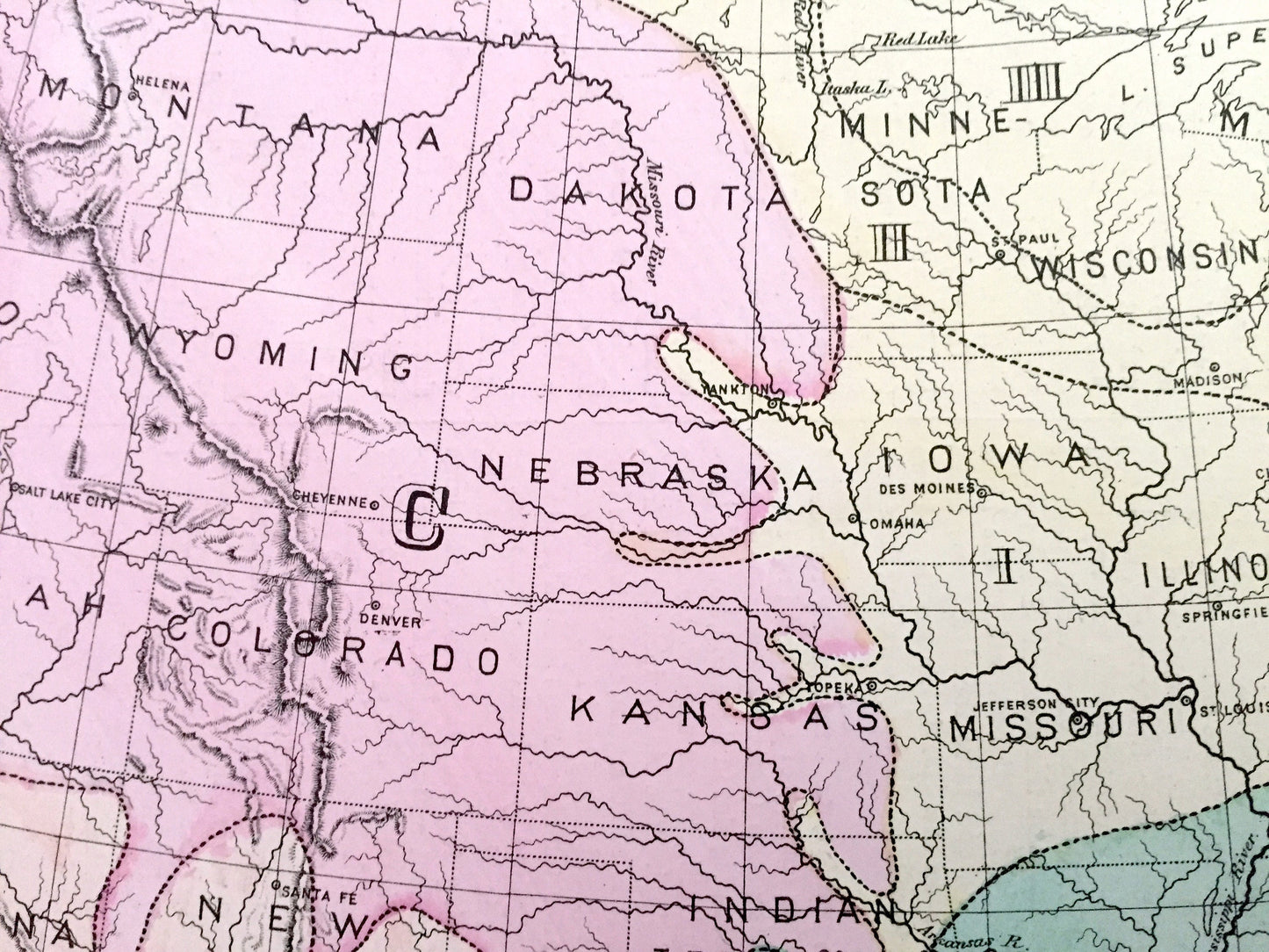 Antique 1874 Zoological Divisions Map of the USA from O.W. Gray's Atlas of United States of America; Stedman, Brown & Lyon – Edward D Cope