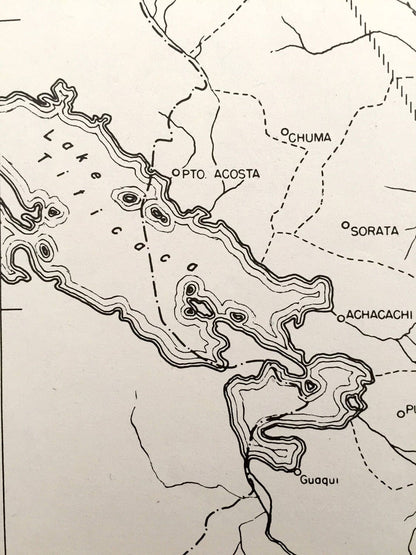 Antique Cinchona, Bolivia 1942 US Board of Economic Warfare Map – Lake Titicaca, La Paz, Corocoro, Achacachi, Acosta
