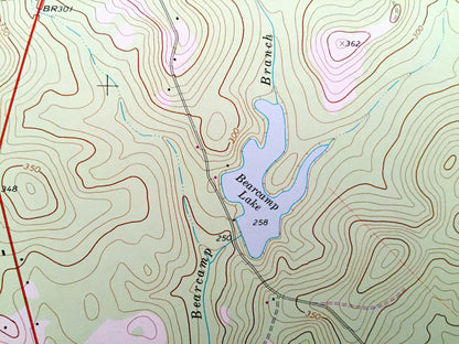 Antique Irwinton, Georgia 1973 US Geological Survey Topographic Map – Dedrich, McIntyre, Edgars, Wriley, Wilkinson County, Macon