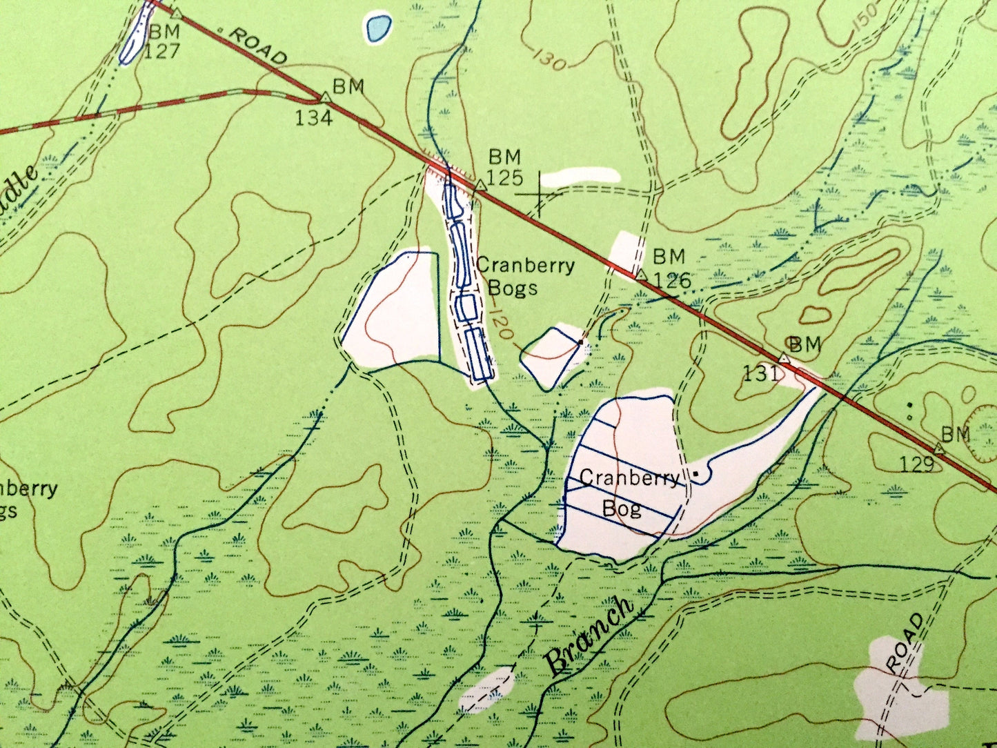 Antique Woodmansie, New Jersey 1957 US Geological Survey Topographic Map – Lacey, Washington, West Plains, Bass River, Little Egg Harbor, NJ