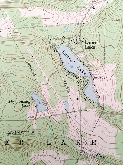 Antique Laurel Lake, Pennsylvania & New York 1968 US Geological Survey Topographic Map – Susquehanna County, Forest Lake, Choconut,Fisk Mill