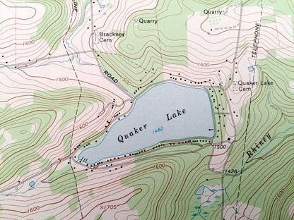 Antique Laurel Lake, Pennsylvania & New York 1968 US Geological Survey Topographic Map – Susquehanna County, Forest Lake, Choconut,Fisk Mill