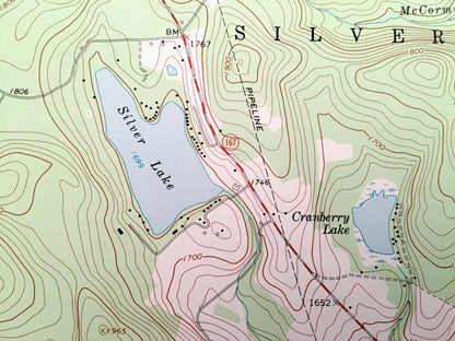 Antique Laurel Lake, Pennsylvania & New York 1968 US Geological Survey Topographic Map – Susquehanna County, Forest Lake, Choconut,Fisk Mill