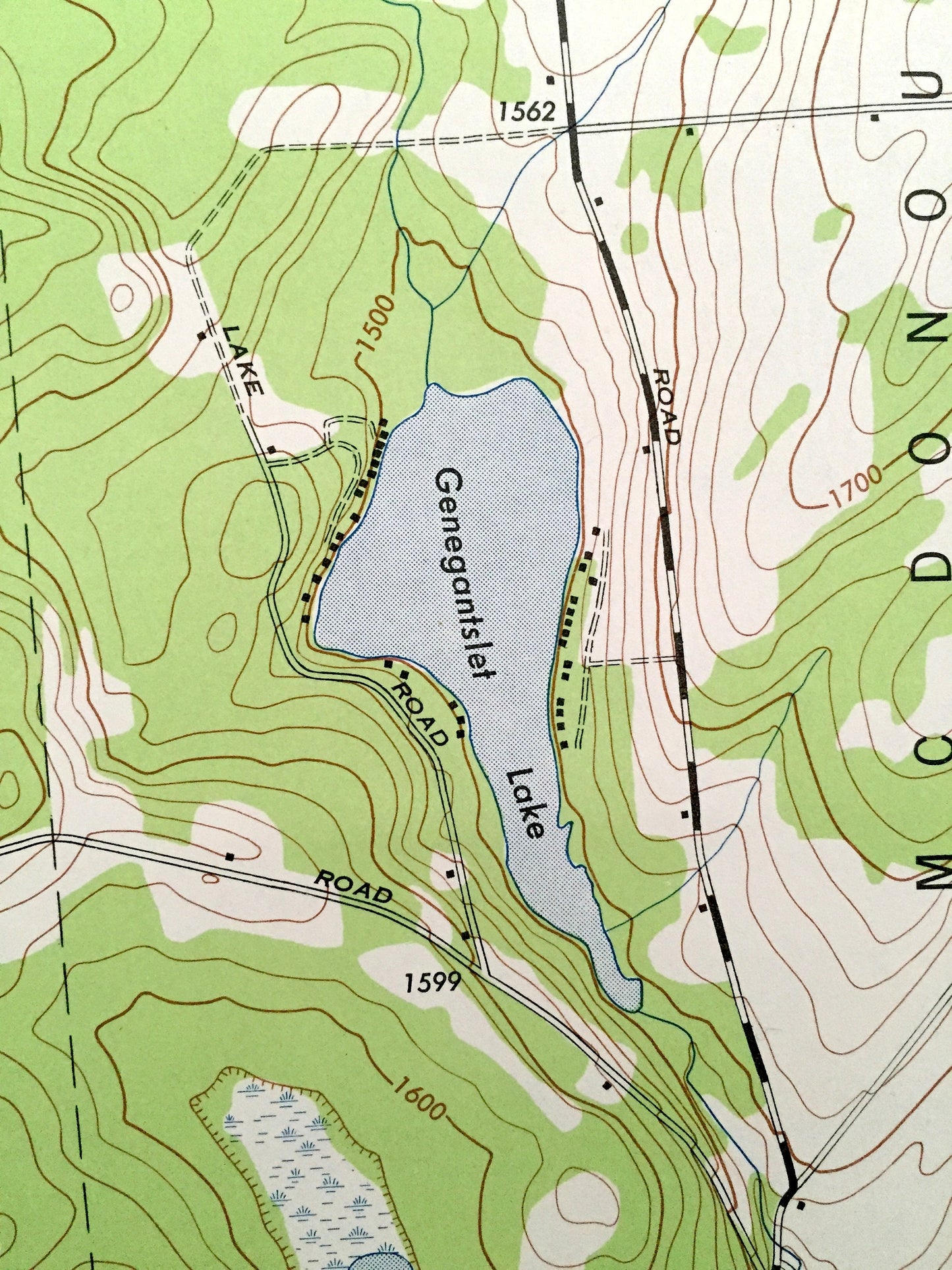Antique Pitcher, New York 1944 US Geological Survey Topographic Map – Chenango County, Pitcher Springs, Cincinnatus, Pharsalia, German, NY