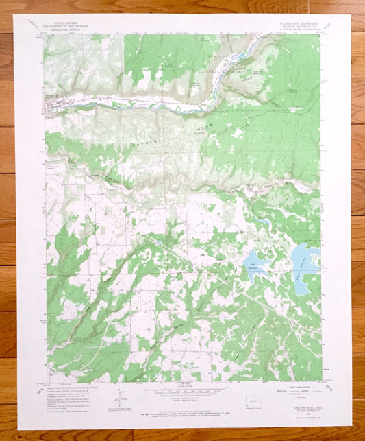 Antique Dolores East, Colorado 1965 US Geological Survey Topographic Map – Haycamp Mesa, San Juan National Forest, Lost, Cash Canyon, CO