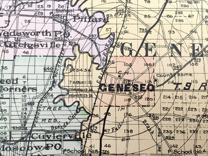 Antique Livingston County, New York 1911 New Century Atlas Map – Geneseo, Caledonia, Avon, Mount Morris, Nunda, Dansville Conesus Hemlock NY