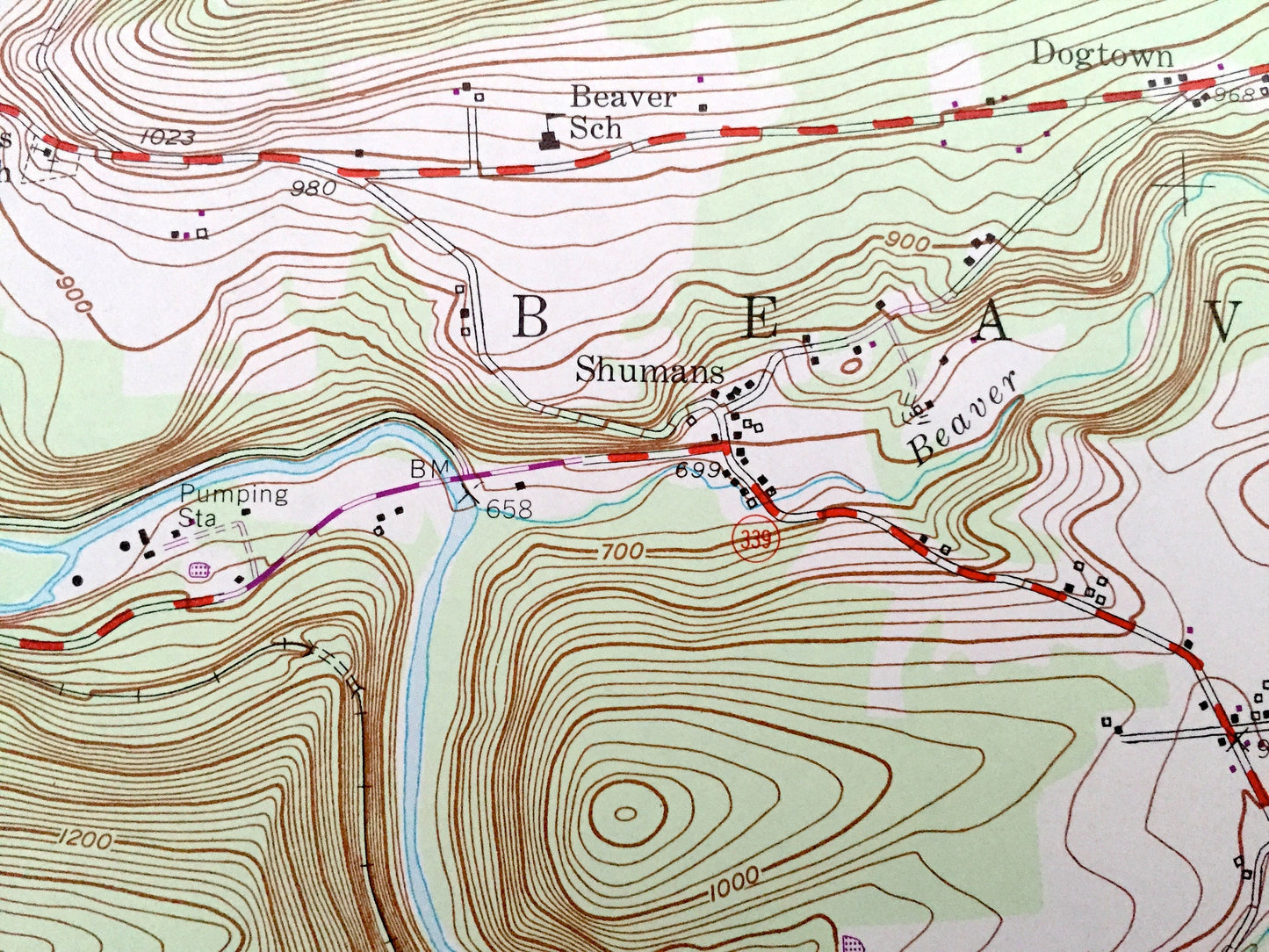 Antique Shumans, Pennsylvania 1955 US Geological Survey Topographic Map – Columbia County, Schuylkill County, Beaver, Roaring Creek, Locust