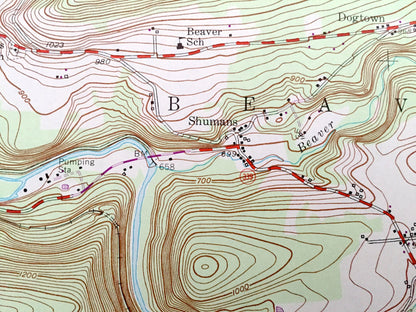 Antique Shumans, Pennsylvania 1955 US Geological Survey Topographic Map – Columbia County, Schuylkill County, Beaver, Roaring Creek, Locust