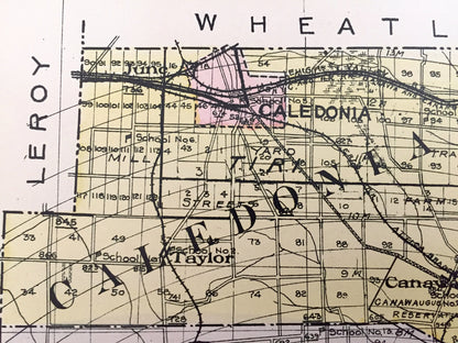 Antique Livingston County, New York 1911 New Century Atlas Map – Geneseo, Caledonia, Avon, Mount Morris, Nunda, Dansville Conesus Hemlock NY