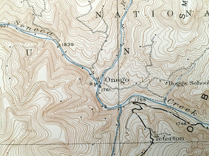 Antique Onego, West Virginia 1922 US Geological Survey Topographic Map – Pendleton County, Milroy, Harperton, Upper Tract, Branch, Laneville