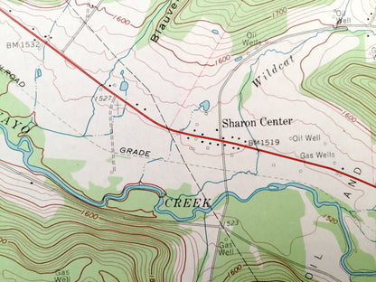 Antique Shinglehouse, Pennsylvania - New York 1969 US Geological Survey Topographic Map – McKean County, Potter County PA Allegany County NY