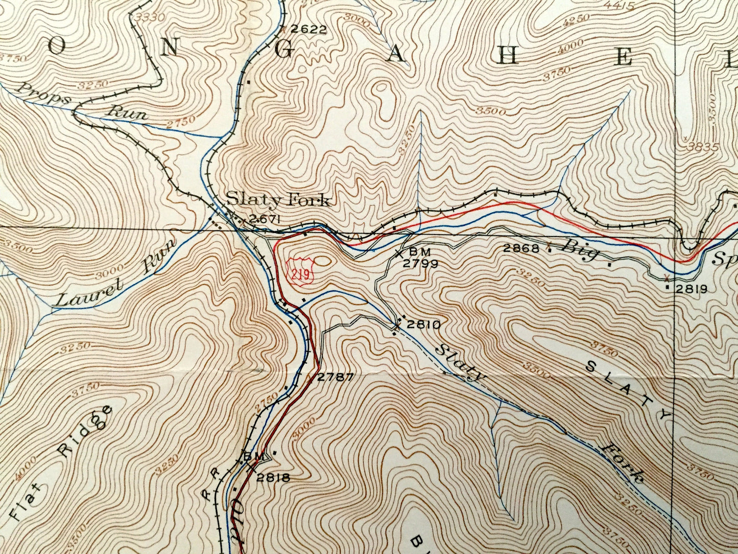 Antique Mingo, West Virginia 1925 US Geological Survey Topographic Map – Randolph County, Fork Lick, Warwick, Thorny Creek, Harter, Linwood