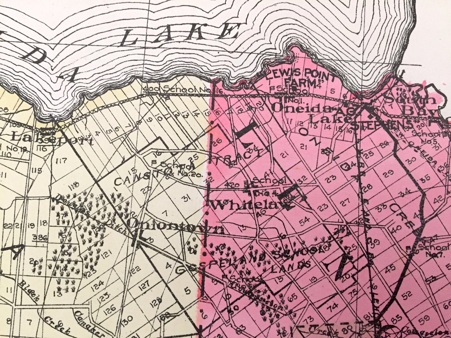 Antique Madison County, New York 1912 New Century Atlas Map – Oneida, Bridgeport, Cazenova, Chittenango, Canastota, Hamilton, Brookfield, NY
