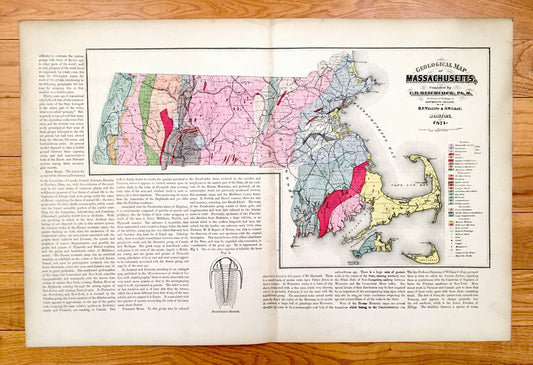 Antique 1871 Massachusetts Topographical Map from Stedman Brown & Lyon Atlas – Walling and Gray, Boston, Cape Cod, Berkshires, Middlesex, MA