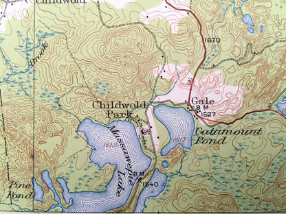 Antique Childwold, New York 1920 US Geological Survey Topographic Map – Adirondacks, St Lawrence, Franklin County, Raquette, Mt Matumbla, NY