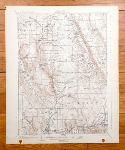 Antique Springville, New York 1925 US Geological Survey Topographic Map - Concord, Sardinia, Ashford, Yorkshire, Boston, Colden, Holland