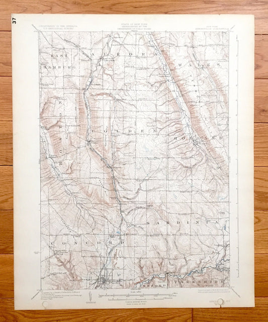 Antique Springville, New York 1925 US Geological Survey Topographic Map - Concord, Sardinia, Ashford, Yorkshire, Boston, Colden, Holland