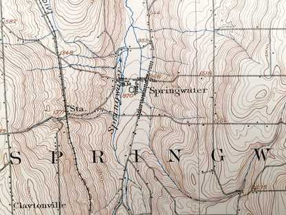 Antique Wayland, New York 1904 US Geological Survey Topographic Map - Dansville, Ossian, Sparta, Springwater, Cohocton, Groveland Conesus NY