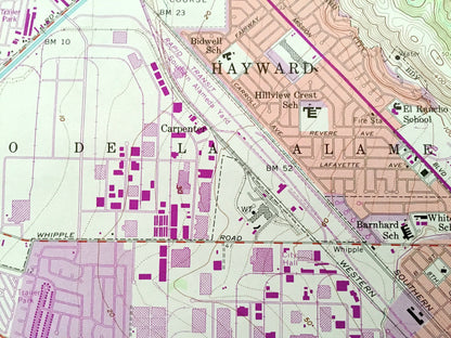 Antique Newark, California 1959 US Geological Survey Topographic Map – Alameda, San Mateo County, Hayward, Fremont, San Francisco Bay