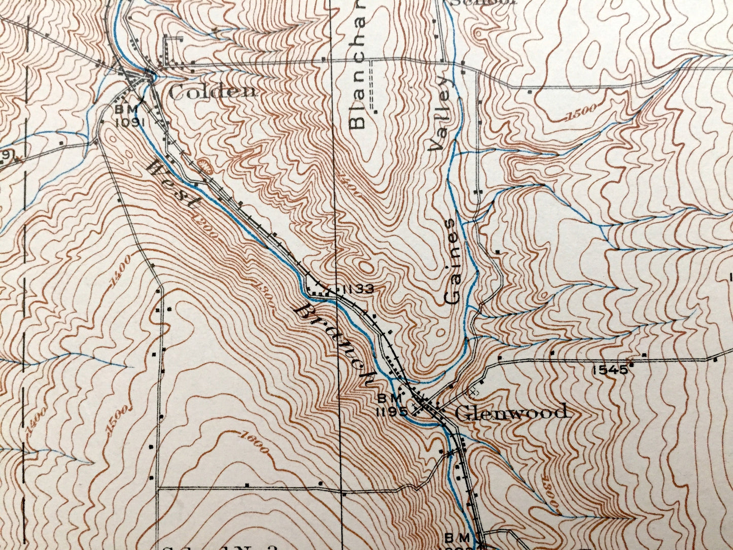 Antique Springville, New York 1925 US Geological Survey Topographic Map - Concord, Sardinia, Ashford, Yorkshire, Boston, Colden, Holland