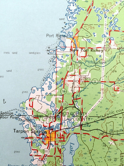 Antique Plant City, Florida 1964 US Geological Survey Topographic Map – Tampa, Dunedin, New Port Richey, Zephyrhillis, Dade City, Wildwood