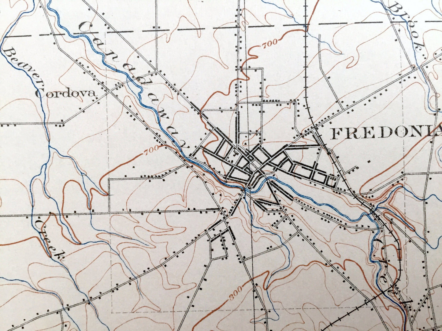 Antique Dunkirk, New York 1900 US Geological Survey Topographic Map – Portland, Pomfret, Sheridan, Arkwright, Mayville, Chautauqua County NY