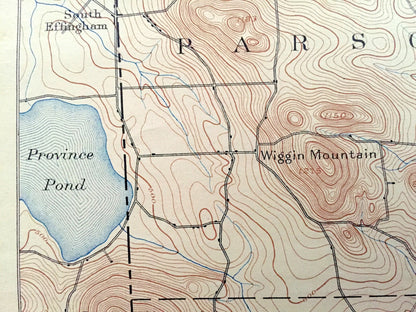 Antique Newfield, Maine 1893 US Geological Survey Topographic Map – Parsonsfield, Limerick, Waterboro, Alfred & Milton, New Hampshire ME NH
