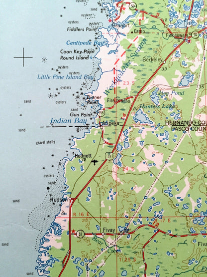 Antique Plant City, Florida 1955 US Geological Survey Topographic Map – Tampa, Dunedin, New Port Richey, Zephyrhillis, Dade City, Wildwood