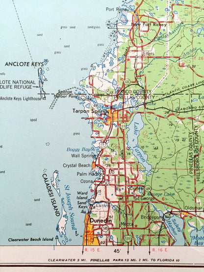 Antique Plant City, Florida 1955 US Geological Survey Topographic Map – Tampa, Dunedin, New Port Richey, Zephyrhillis, Dade City, Wildwood