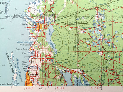 Antique Plant City, Florida 1964 US Geological Survey Topographic Map – Tampa, Dunedin, New Port Richey, Zephyrhillis, Dade City, Wildwood