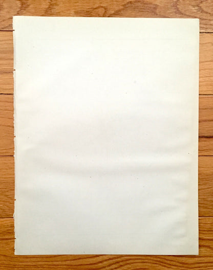 Antique Reading, Pennsylvania Map from 1880 Census – Berks County, Schuylkill River, Hampden Park, Penn Street, Hardware Company, PA