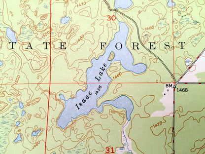 Antique Isaac Lake, Minnesota 1950 US Geological Survey Topographic Map - St Louis County, Mesaba, Waasa, Argo, Superior National Forest, MN