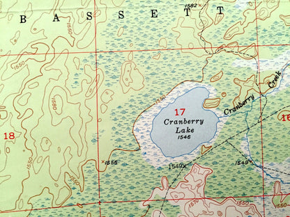 Antique Allen, Minnesota 1950 US Geological Survey Topographic Map -  St Louis County, Mesaba, Argo, Bassett, Wyman, Spring, Ridge, MN