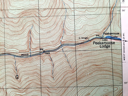 Antique Peekamoose Mountain, New York 1943 US Geological Survey Topographic Map – Ulster, Sullivan County, Denning, Shandaken, Neversink, NY