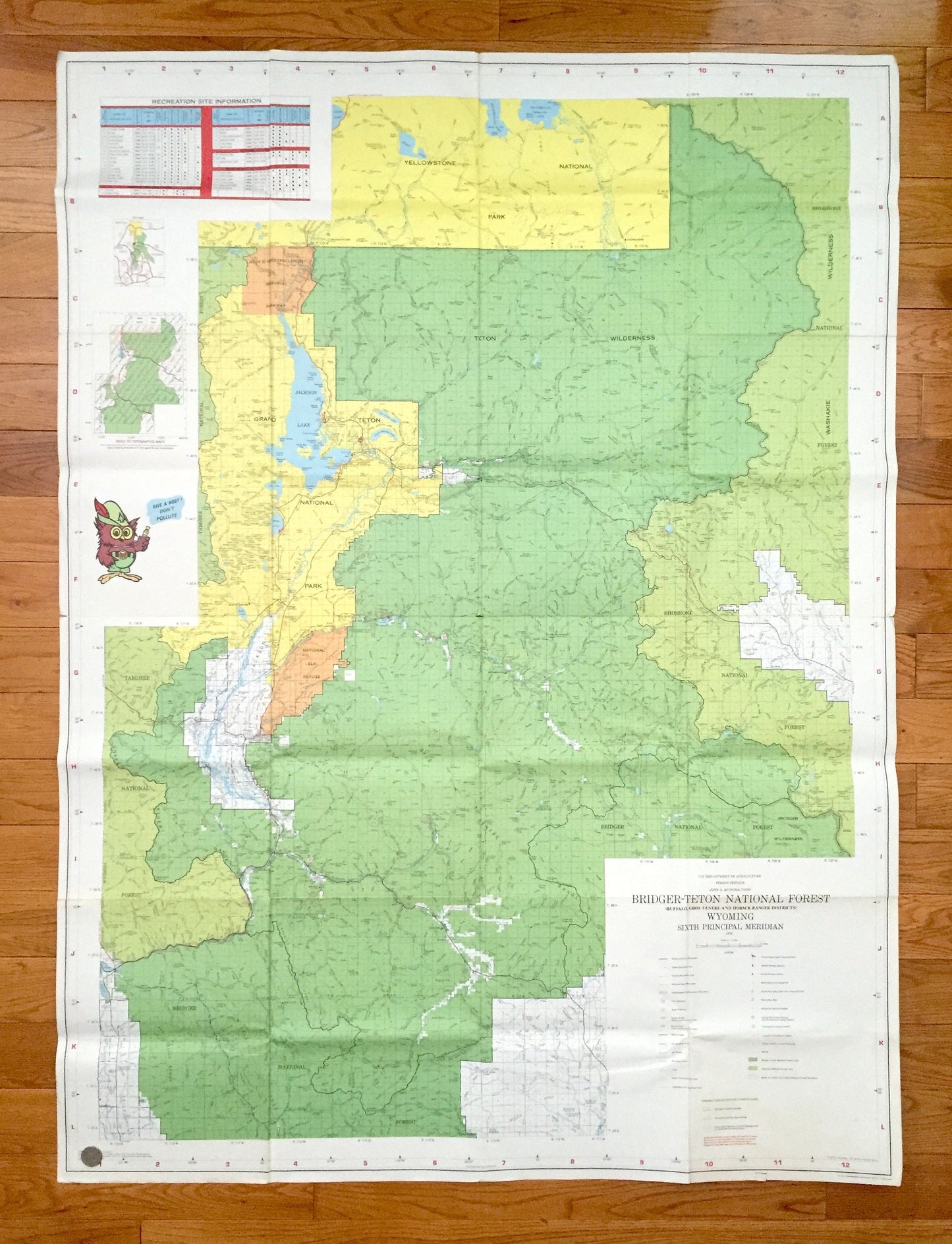 Antique Bridger-Teton National Forest, Wyoming 1973 US Geological Survey Topographic Map – Jackson Hole Snow King Mountain Yellowstone WY