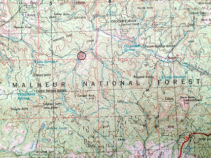 Antique Canyon City, Oregon 1955 US Geological Survey Topographic Map – John Day, Hamilton, Hereford Malheur National Forest Grant County OR